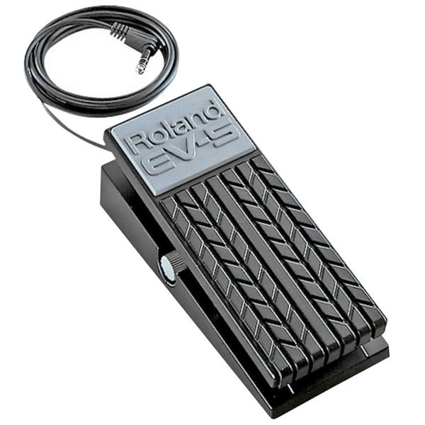 Boss DM-2w Delay Waza mit EV-5 Expression Pedal