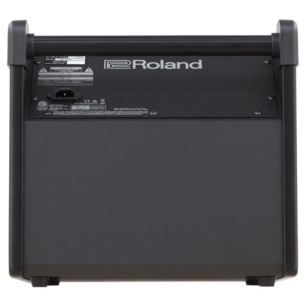 Roland PM-100 E-Drum Monitor Box mit Klinke-Kabel 3m