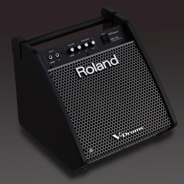 Roland PM-100 E-Drum Monitor Box mit Klinke-Kabel 3m