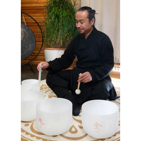 Meinl Sonic Energy Quarz-Klangschalen Set TCMCSBSET5 5-Elemente