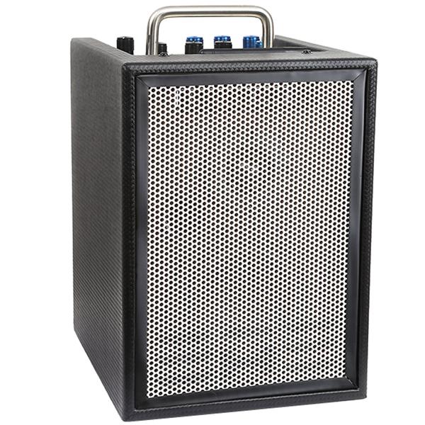 Elite Acoustics Verstärker A1-4 MKII akkubetrieben mit Kabel