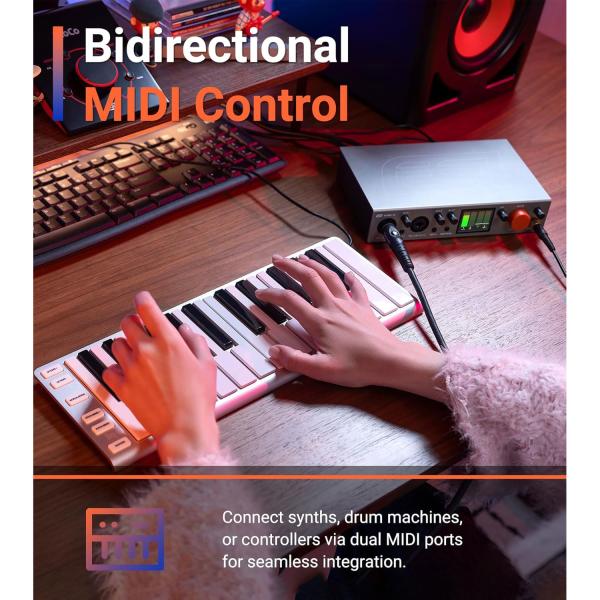 ESI USB Audio-Interface Amber i2