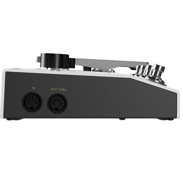 Hotone Effektgerät Ampero II Amp-Modeler mit Kabel