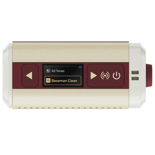 Hotone Gitarren-Verstärker AP-5WH Pulze Mini mit Klinkenkabel