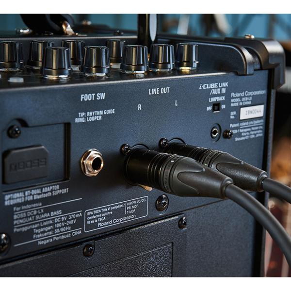 Boss Dual Cube Bass LX Bass Verstärker mit Kabel