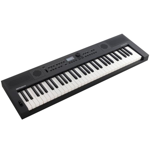 Roland Keyboard GO:Keys 5 GT Graphit