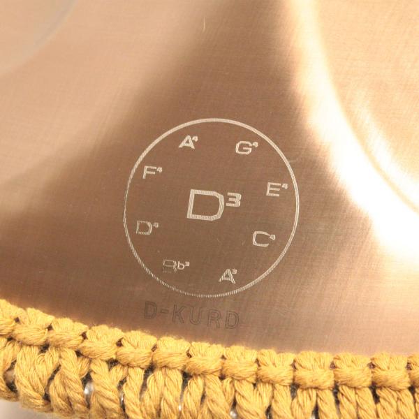 Patera Handpan HPDM-10 Compact Edelstahl D-Kurd mit Lehrbuch