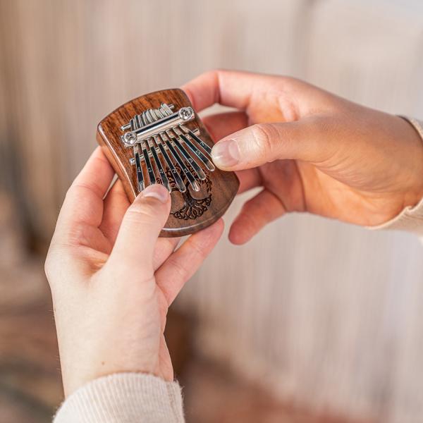 Meinl Sonic Energy KL801TOL Mini Kalimba mit Tuch