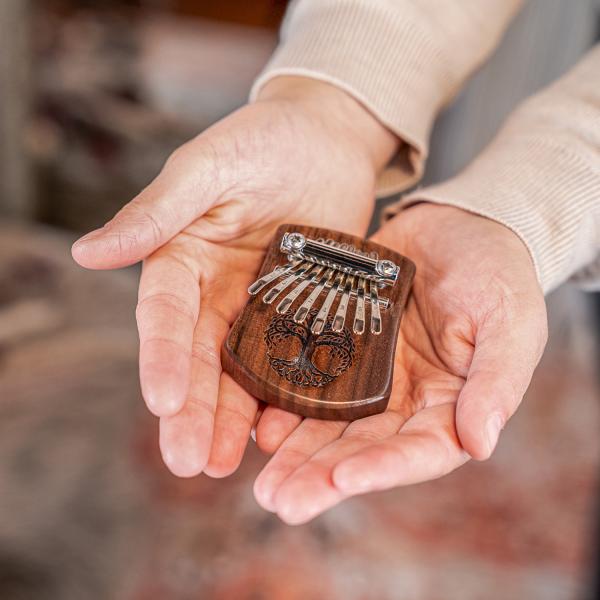 Meinl Sonic Energy KL801TOL Mini Kalimba mit Tuch