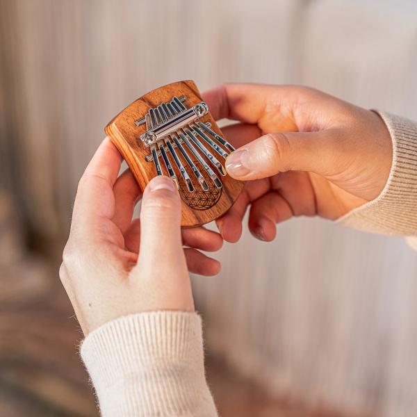 Meinl Sonic Energy KL802FOL Mini Kalimba