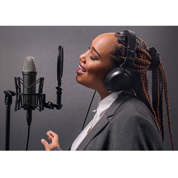 Rode NT1 Signature Black Mikrofon mit Art USBMix4