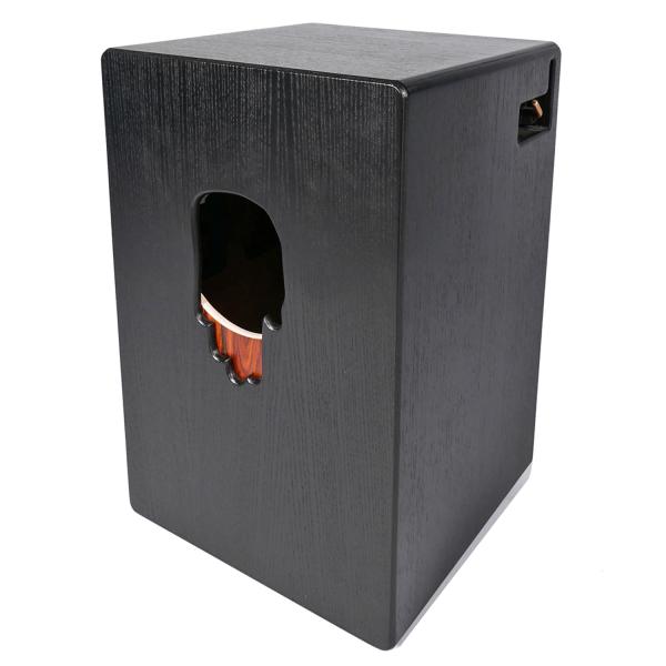 PUR Cajon PC5499R Vision SP PRO Palisander mit Tasche