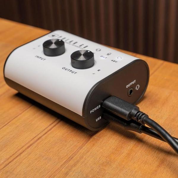 Blackstar Audio-Interface Polar GO mobiles 2-Kanal Interface