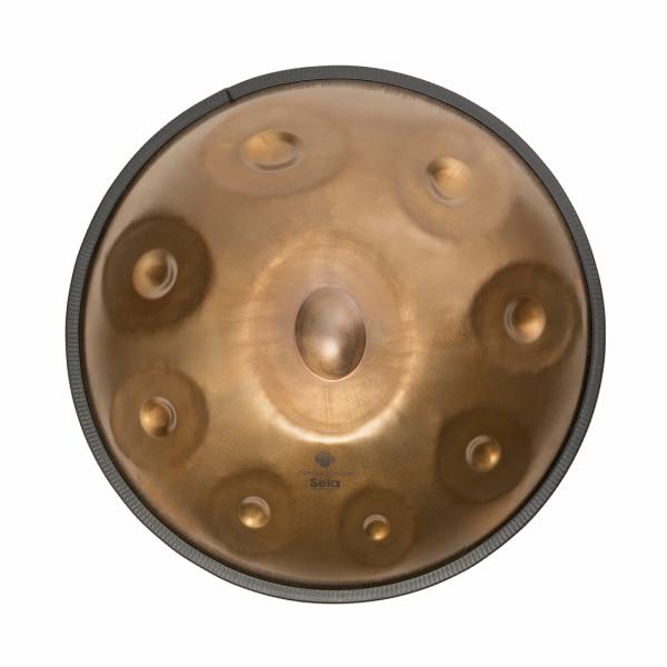 Sela Handpan SE 201 Harmony D Kurd mit Lehrbuch