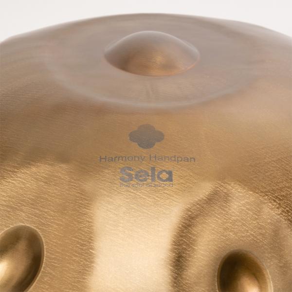 Sela SE 215 Unity Handpan C# Kurd mit Pflege-Öl