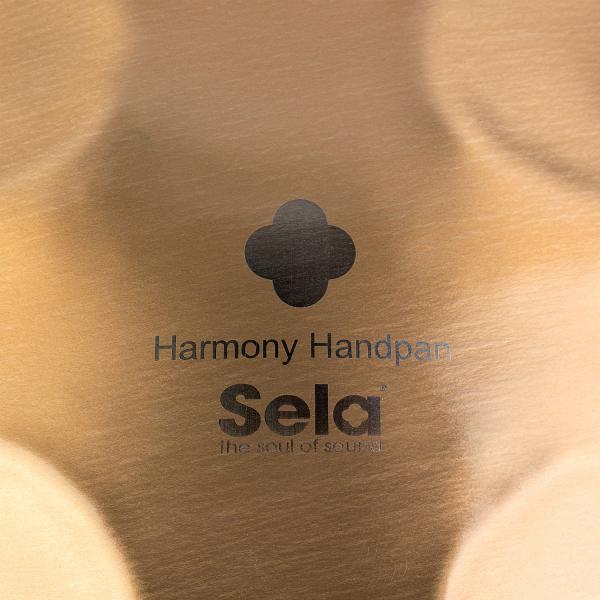 Sela Handpan SEHP201 Harmony D-Kurd Edelstahl mit Lehrbuch