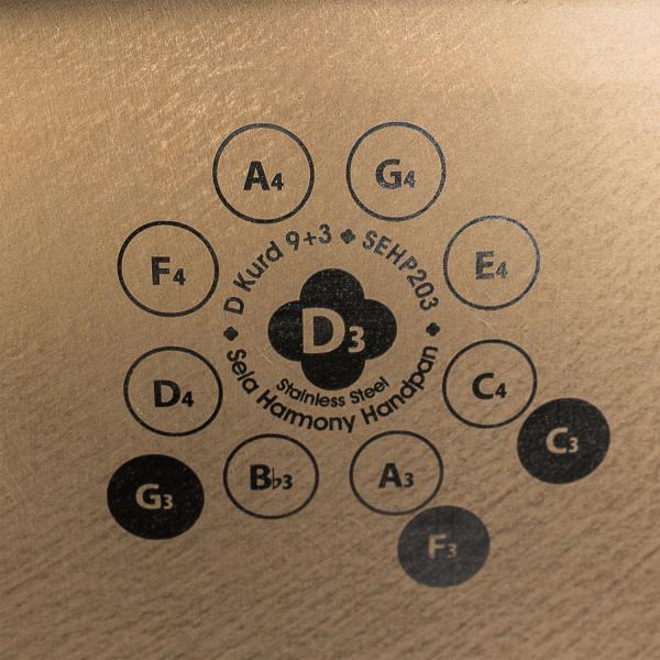 Sela Handpan SEHP203 Harmony D-Kurd Edelstahl mit Lehrbuch