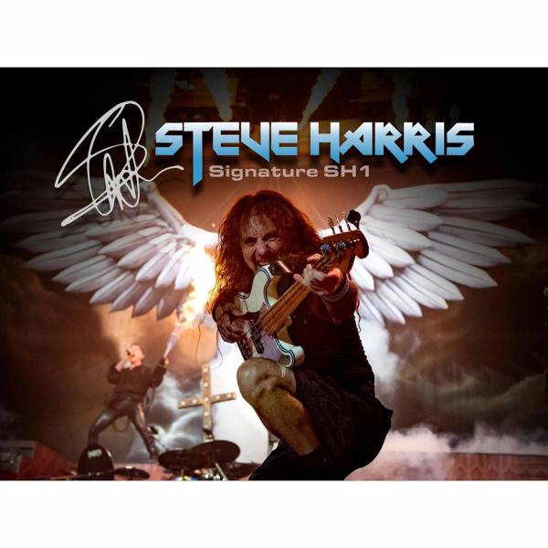 Tech21 SH-1 Steve Harris Bass Sansamp mit Kabel