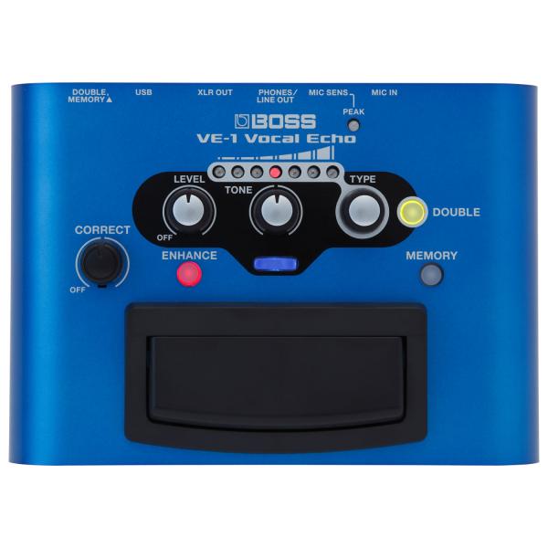 Boss Effektgerät VE-1 Vocal-Echo für Gesang mit XLR-Kabel