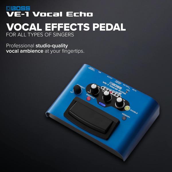 Boss Effektgerät VE-1 Vocal-Echo für Gesang mit XLR-Kabel