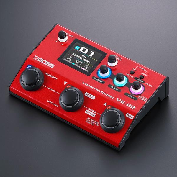 Boss VE-22 Multi-Effektgerät für Gesang mit XLR-Kabel